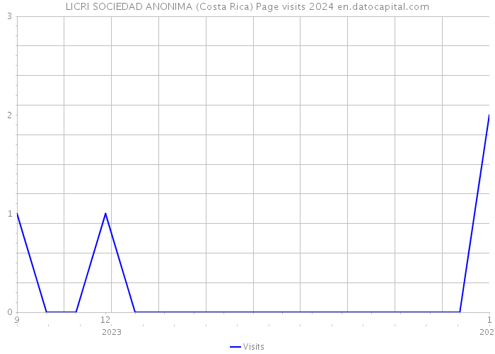LICRI SOCIEDAD ANONIMA (Costa Rica) Page visits 2024 