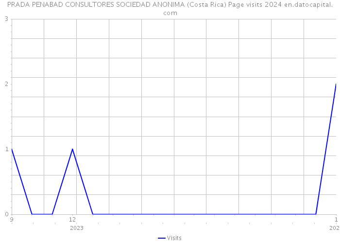 PRADA PENABAD CONSULTORES SOCIEDAD ANONIMA (Costa Rica) Page visits 2024 