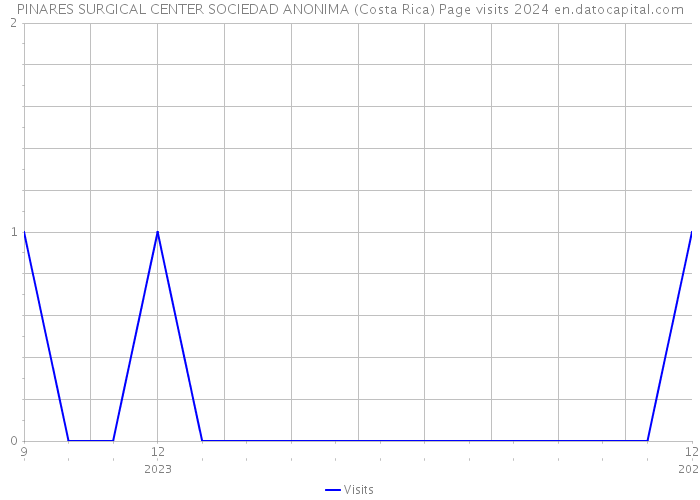 PINARES SURGICAL CENTER SOCIEDAD ANONIMA (Costa Rica) Page visits 2024 