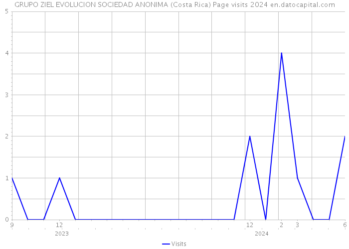 GRUPO ZIEL EVOLUCION SOCIEDAD ANONIMA (Costa Rica) Page visits 2024 