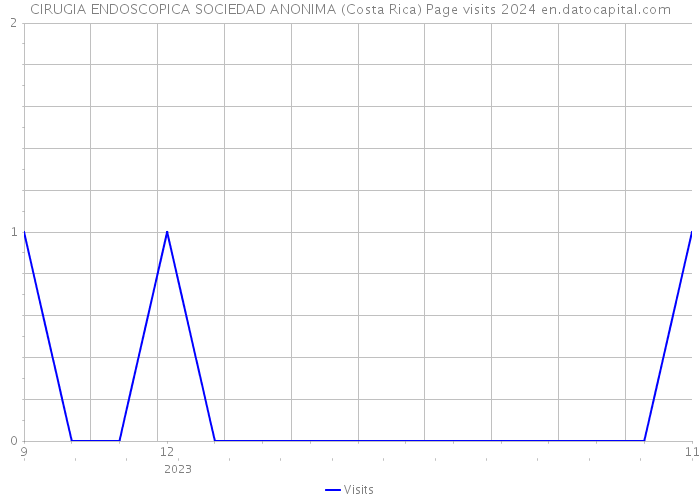 CIRUGIA ENDOSCOPICA SOCIEDAD ANONIMA (Costa Rica) Page visits 2024 
