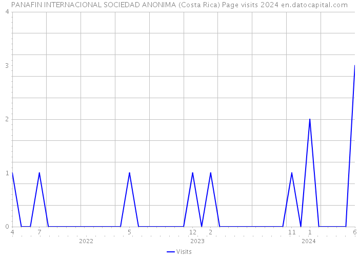 PANAFIN INTERNACIONAL SOCIEDAD ANONIMA (Costa Rica) Page visits 2024 