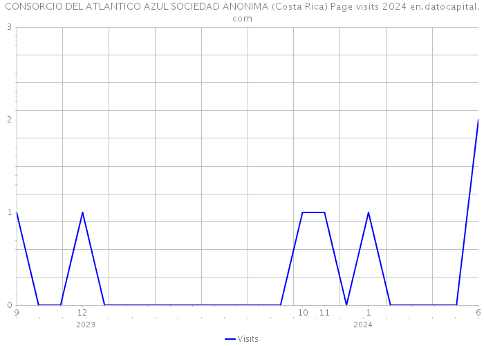CONSORCIO DEL ATLANTICO AZUL SOCIEDAD ANONIMA (Costa Rica) Page visits 2024 