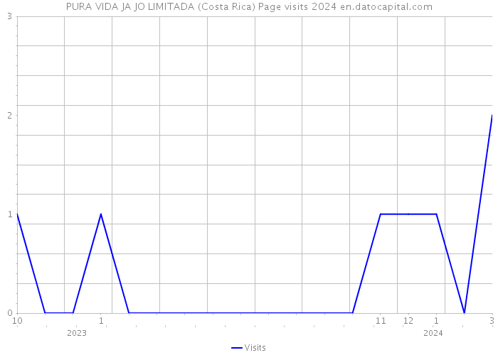 PURA VIDA JA JO LIMITADA (Costa Rica) Page visits 2024 