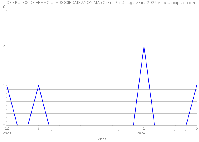 LOS FRUTOS DE FEMAGIUPA SOCIEDAD ANONIMA (Costa Rica) Page visits 2024 