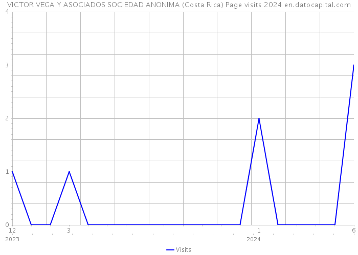 VICTOR VEGA Y ASOCIADOS SOCIEDAD ANONIMA (Costa Rica) Page visits 2024 