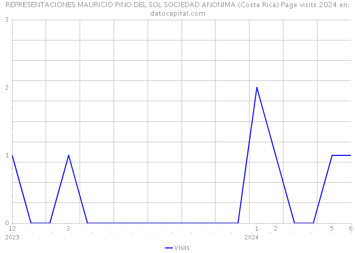REPRESENTACIONES MAURICIO PINO DEL SOL SOCIEDAD ANONIMA (Costa Rica) Page visits 2024 