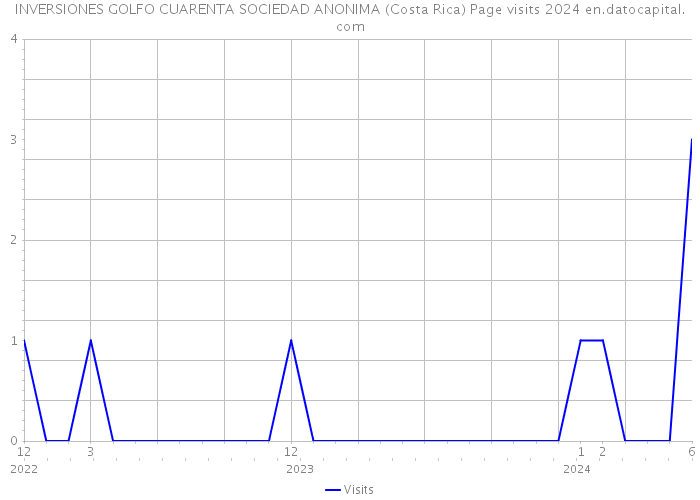 INVERSIONES GOLFO CUARENTA SOCIEDAD ANONIMA (Costa Rica) Page visits 2024 