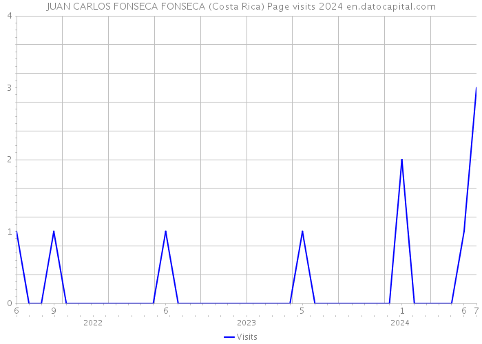 JUAN CARLOS FONSECA FONSECA (Costa Rica) Page visits 2024 