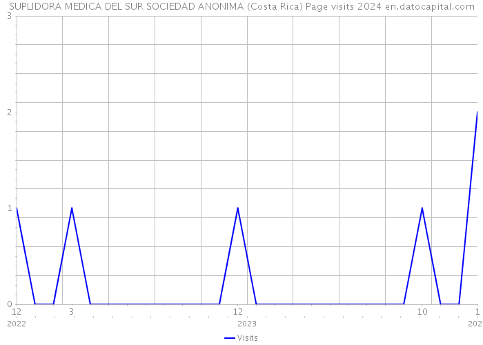 SUPLIDORA MEDICA DEL SUR SOCIEDAD ANONIMA (Costa Rica) Page visits 2024 