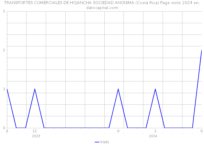 TRANSPORTES COMERCIALES DE HOJANCHA SOCIEDAD ANONIMA (Costa Rica) Page visits 2024 
