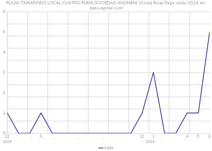 PLAZA TAMARINDO LOCAL CUATRO PUMA SOCIEDAD ANONIMA (Costa Rica) Page visits 2024 