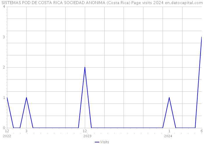 SISTEMAS POD DE COSTA RICA SOCIEDAD ANONIMA (Costa Rica) Page visits 2024 