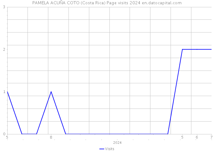 PAMELA ACUÑA COTO (Costa Rica) Page visits 2024 