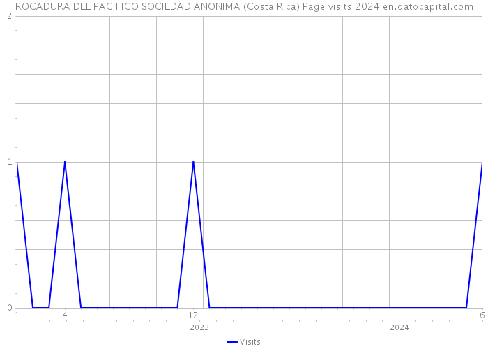 ROCADURA DEL PACIFICO SOCIEDAD ANONIMA (Costa Rica) Page visits 2024 