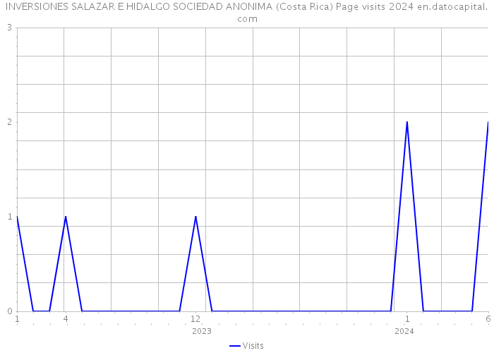 INVERSIONES SALAZAR E HIDALGO SOCIEDAD ANONIMA (Costa Rica) Page visits 2024 