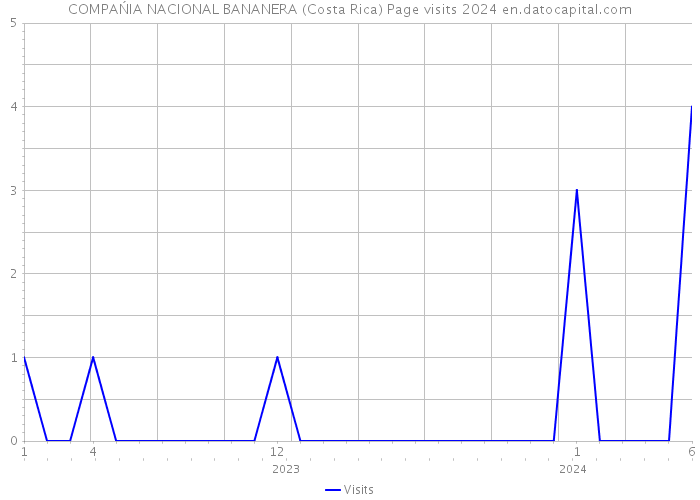 COMPAŃIA NACIONAL BANANERA (Costa Rica) Page visits 2024 