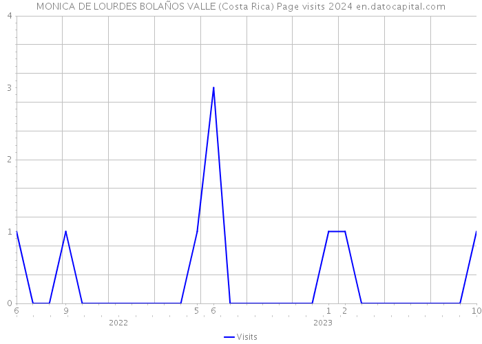 MONICA DE LOURDES BOLAÑOS VALLE (Costa Rica) Page visits 2024 