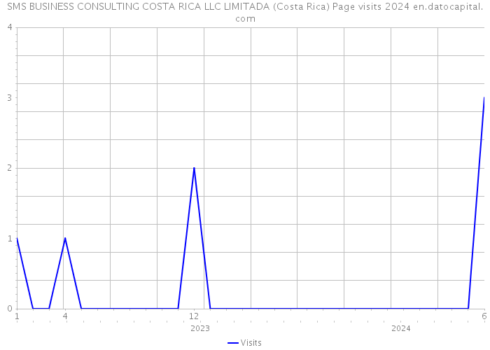 SMS BUSINESS CONSULTING COSTA RICA LLC LIMITADA (Costa Rica) Page visits 2024 