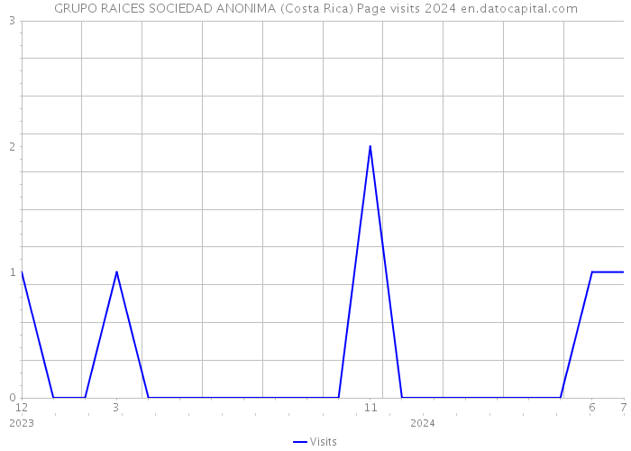 GRUPO RAICES SOCIEDAD ANONIMA (Costa Rica) Page visits 2024 