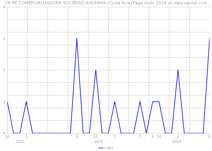 CR PR COMERCIALIZADORA SOCIEDAD ANONIMA (Costa Rica) Page visits 2024 