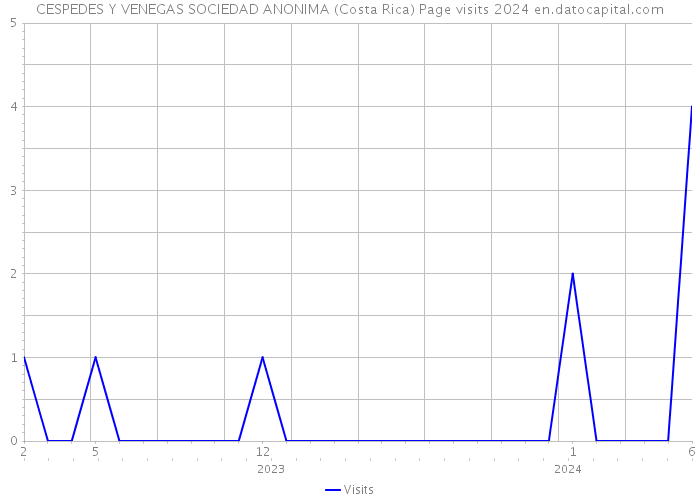 CESPEDES Y VENEGAS SOCIEDAD ANONIMA (Costa Rica) Page visits 2024 
