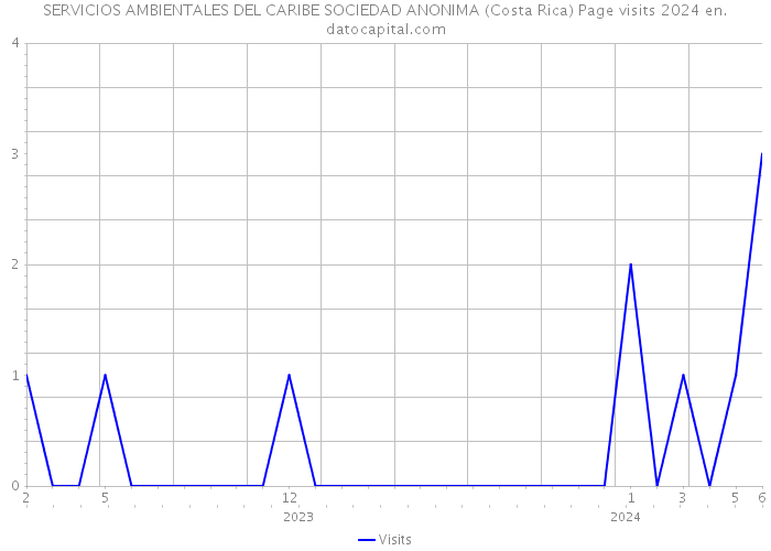 SERVICIOS AMBIENTALES DEL CARIBE SOCIEDAD ANONIMA (Costa Rica) Page visits 2024 
