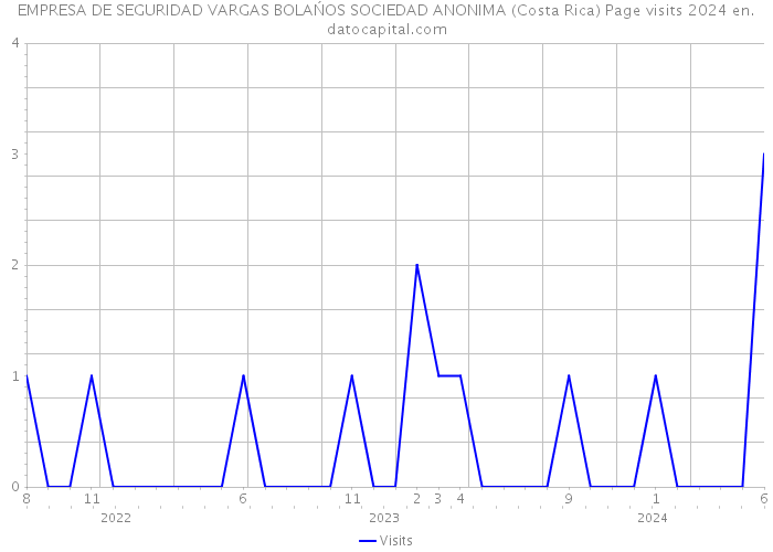EMPRESA DE SEGURIDAD VARGAS BOLAŃOS SOCIEDAD ANONIMA (Costa Rica) Page visits 2024 