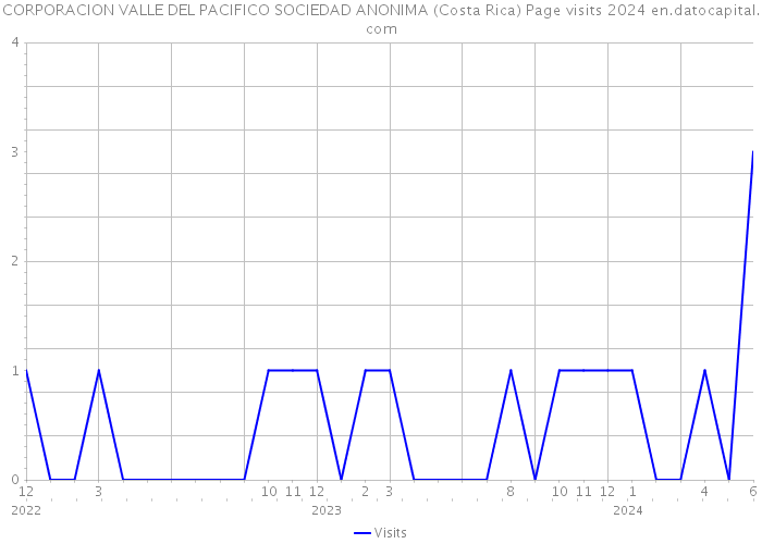 CORPORACION VALLE DEL PACIFICO SOCIEDAD ANONIMA (Costa Rica) Page visits 2024 