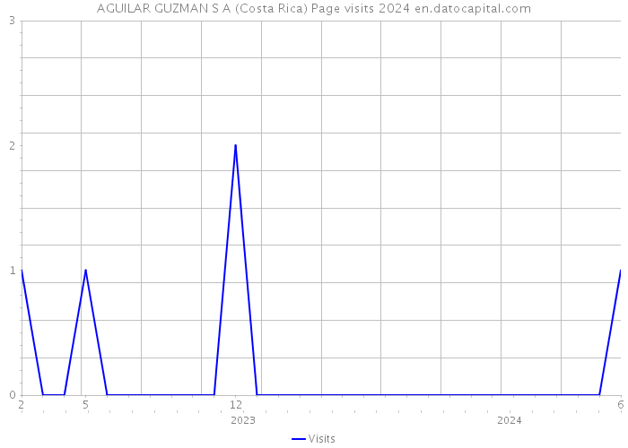 AGUILAR GUZMAN S A (Costa Rica) Page visits 2024 