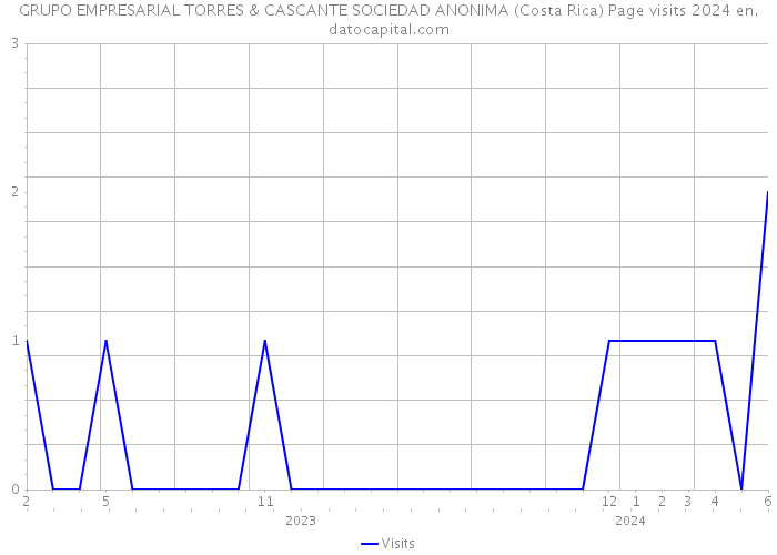 GRUPO EMPRESARIAL TORRES & CASCANTE SOCIEDAD ANONIMA (Costa Rica) Page visits 2024 