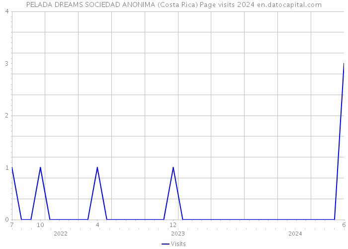 PELADA DREAMS SOCIEDAD ANONIMA (Costa Rica) Page visits 2024 