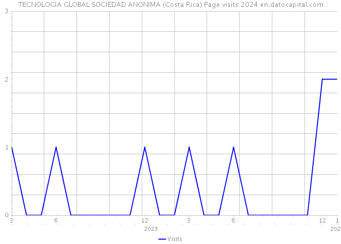 TECNOLOGIA GLOBAL SOCIEDAD ANONIMA (Costa Rica) Page visits 2024 