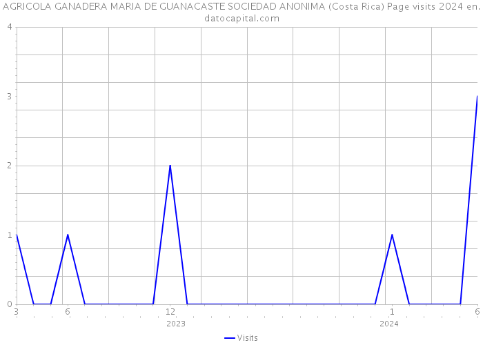 AGRICOLA GANADERA MARIA DE GUANACASTE SOCIEDAD ANONIMA (Costa Rica) Page visits 2024 