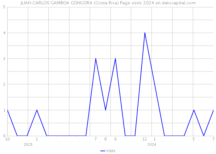 JUAN CARLOS GAMBOA GONGORA (Costa Rica) Page visits 2024 