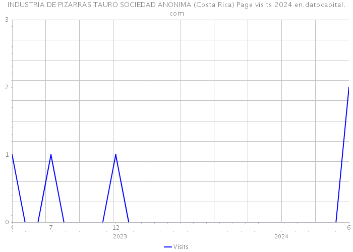INDUSTRIA DE PIZARRAS TAURO SOCIEDAD ANONIMA (Costa Rica) Page visits 2024 