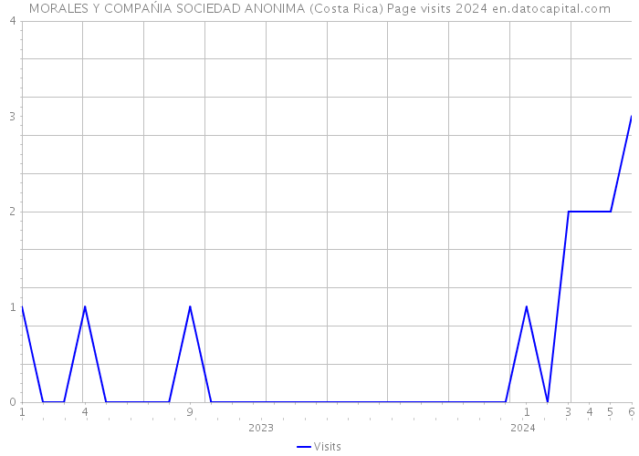 MORALES Y COMPAŃIA SOCIEDAD ANONIMA (Costa Rica) Page visits 2024 
