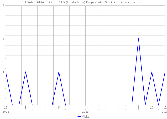 CESAR CAMACHO BRENES (Costa Rica) Page visits 2024 