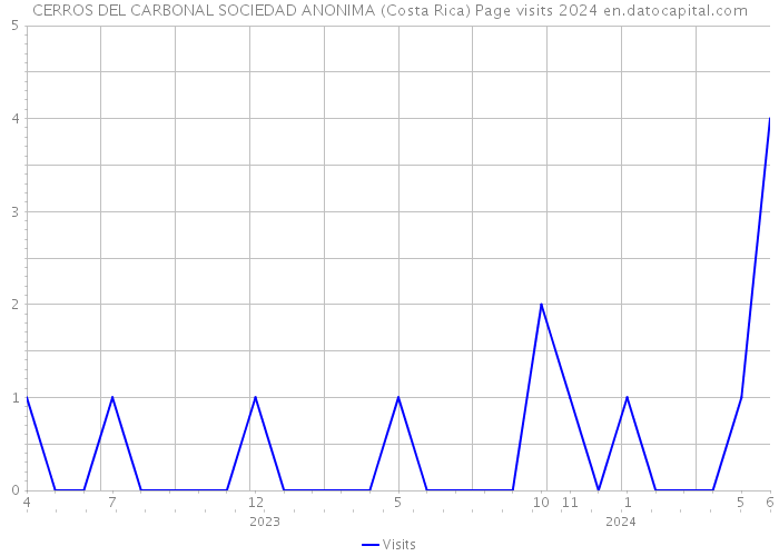CERROS DEL CARBONAL SOCIEDAD ANONIMA (Costa Rica) Page visits 2024 