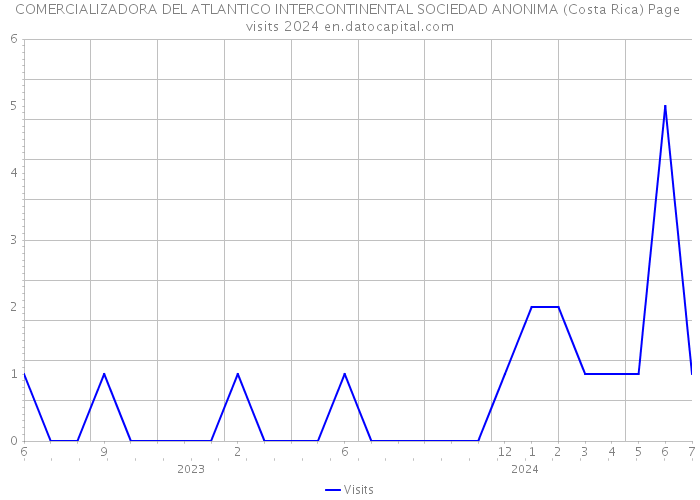 COMERCIALIZADORA DEL ATLANTICO INTERCONTINENTAL SOCIEDAD ANONIMA (Costa Rica) Page visits 2024 