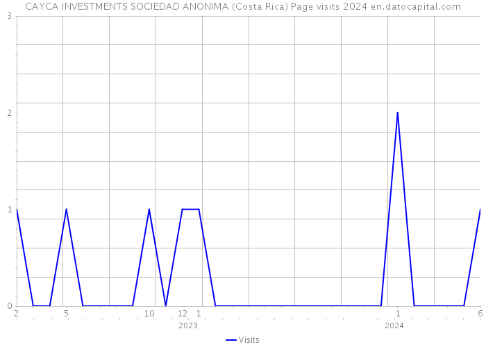 CAYCA INVESTMENTS SOCIEDAD ANONIMA (Costa Rica) Page visits 2024 