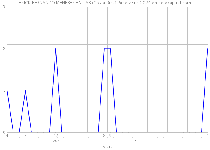 ERICK FERNANDO MENESES FALLAS (Costa Rica) Page visits 2024 