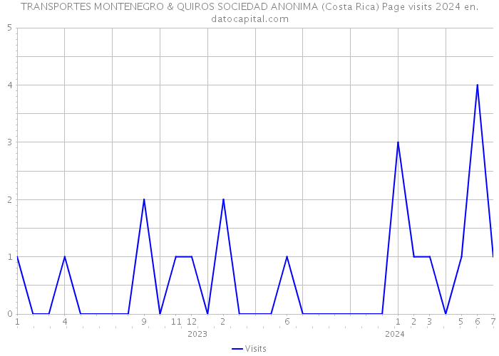 TRANSPORTES MONTENEGRO & QUIROS SOCIEDAD ANONIMA (Costa Rica) Page visits 2024 