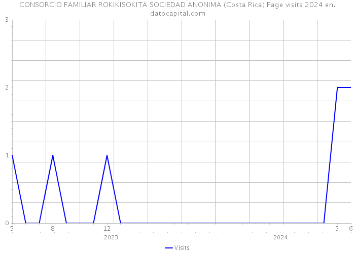 CONSORCIO FAMILIAR ROKIKISOKITA SOCIEDAD ANONIMA (Costa Rica) Page visits 2024 