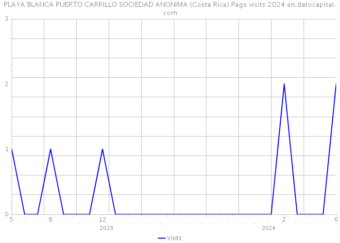 PLAYA BLANCA PUERTO CARRILLO SOCIEDAD ANONIMA (Costa Rica) Page visits 2024 