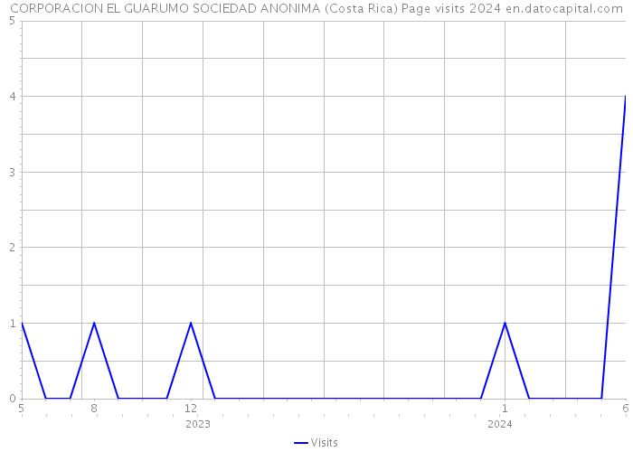 CORPORACION EL GUARUMO SOCIEDAD ANONIMA (Costa Rica) Page visits 2024 