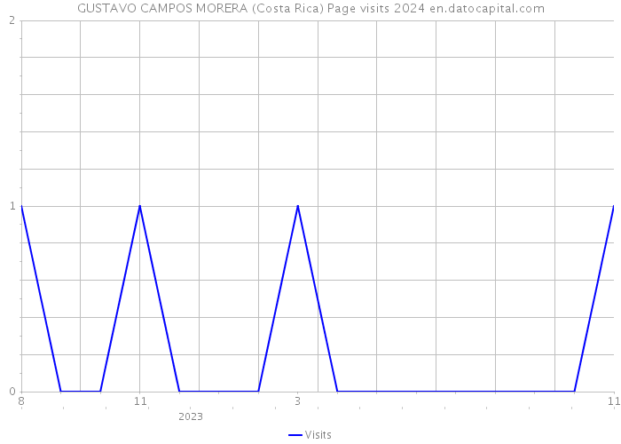 GUSTAVO CAMPOS MORERA (Costa Rica) Page visits 2024 