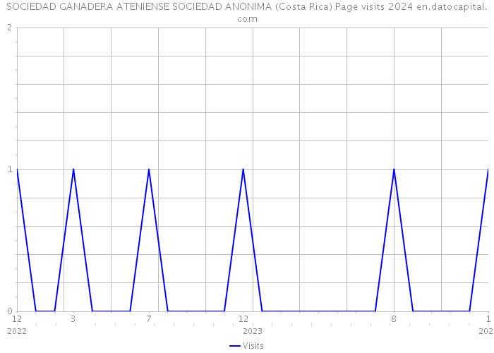 SOCIEDAD GANADERA ATENIENSE SOCIEDAD ANONIMA (Costa Rica) Page visits 2024 