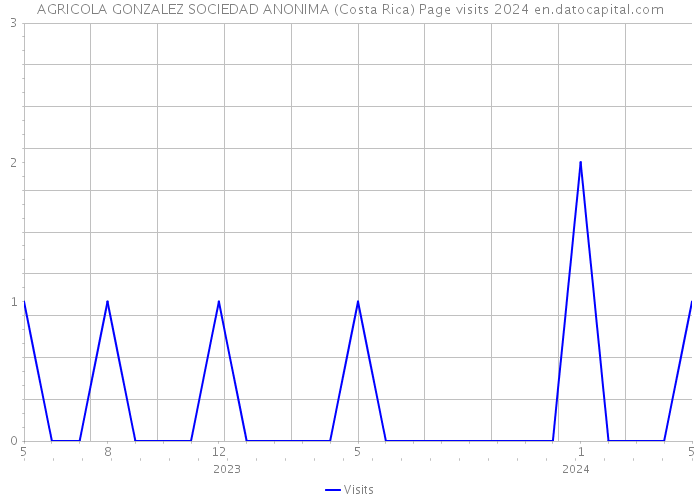AGRICOLA GONZALEZ SOCIEDAD ANONIMA (Costa Rica) Page visits 2024 