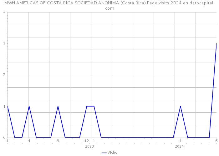 MWH AMERICAS OF COSTA RICA SOCIEDAD ANONIMA (Costa Rica) Page visits 2024 